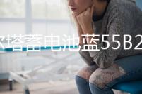 瓦爾塔蓄電池藍55B24R適配威志威姿森雅熊貓奇瑞Q3汽車電瓶 藍標