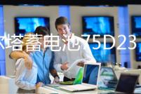 瓦爾塔蓄電池75D23L/65AH/550A/奇駿天籟/翼神雅閣森林人汽車(chē)電瓶