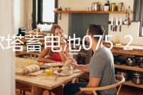 瓦爾塔蓄電池075-20適配途觀邁騰帕薩特凱迪拉克汽車電瓶 銀標(biāo)