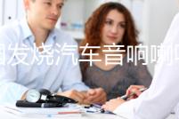 美國發燒汽車音響喇叭改裝6.5寸套裝車載音響重低音炮無損揚聲器