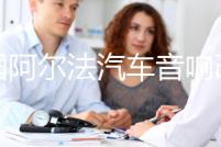 美國阿爾法汽車音響改裝發燒12寸10寸超重雙音圈無源低音炮喇叭