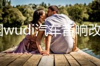 美國wudi汽車音響改裝發燒12寸10寸超重雙音圈無源低音炮進口喇叭