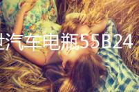 博世汽車電瓶55B24LS適用雅閣思鉑睿思域CRV逍客騏達(dá)免維護(hù)蓄電池