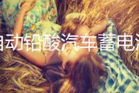 全自動鉛酸汽車蓄電池電瓶充電器12V24V貨車摩托車智能脈沖充電機(jī)