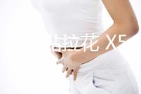 北斗星車貼拉花 X5 汽車改裝雨燕拉花 鈴木貼紙拉花SX4車身貼