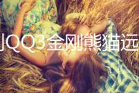 吉利QQ3金剛熊貓遠景X1英倫金鷹全球鷹原裝45AH電瓶瓦爾塔蓄電池