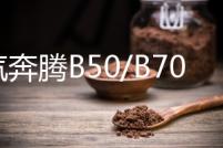 一汽奔騰B50/B70/B90/B30/X80/X40瓦爾塔80D26L原裝70AH汽車電瓶