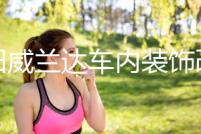 豐田威蘭達車內(nèi)裝飾改裝內(nèi)飾門槽墊配件高性能版汽車用品2022款22