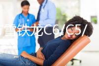 東方雪鐵龍C6/C5/C4L/C4世嘉/C3-XR賽納C2凱旋原裝蓄電池汽車電瓶