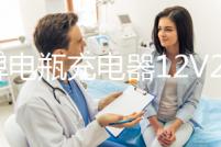 樂牌電瓶充電器12V24V伏純銅多功能通用大功率摩托汽車電池充電機