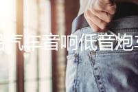 正品汽車音響低音炮車載10寸12寸無源低音炮音箱發燒雙音圈重低音