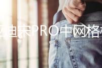 比亞迪宋PRO中網格柵外觀改裝件宋PLUS爆改前臉專用裝飾亮條配件