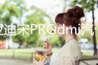 比亞迪宋PROdmi汽車專用隔板裝飾隔物板收納配件儲物尾箱