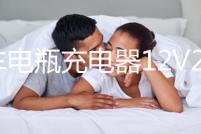 汽車電瓶充電器12V24V純銅全自動大功率智能脈沖啟停蓄電池充電機