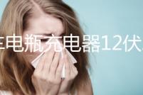 汽車(chē)電瓶充電器12伏24V純銅大功率修復(fù)型全自動(dòng)快速摩托車(chē)充電機(jī)