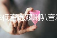 汽車低音炮雙喇叭音箱空箱木箱試音箱獨立雙10寸12寸連體空音箱體