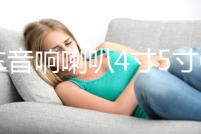 汽車音響喇叭4寸5寸6寸6.5寸同軸汽車?yán)雀难b全頻中重低音喇叭