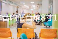 汽車音響低音炮8寸10寸12寸低音喇叭密封箱體實木無源箱蜂窩式箱