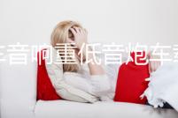 汽車音響重低音炮車載專用有源改裝自帶功放超薄低音炮座位下12V