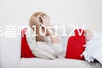 汽車音響10寸12V 有源低音炮車載低音炮汽車超薄低音炮重低音喇叭