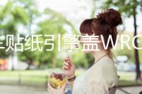 汽車貼紙引擎蓋WRC裝飾貼車門車頭蓋刮痕遮劃痕貼機蓋貼改裝拉花