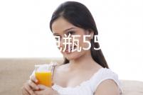 湯淺汽車電瓶55B24L天語雨燕騏達頤達驪威軒逸逍客利亞納駿逸電池