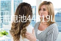 湯淺蓄電池44B19L飛度鋒范1.5L思迪理念哥瑞雨燕奧拓原裝汽車電瓶