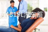 湯淺44B19L汽車蓄電池12V 40AH飛度鋒范思迪理念哥瑞奧拓競瑞電瓶