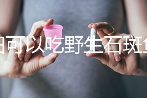 孕婦可以吃野生石斑魚嗎