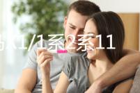 寶馬X1/1系2系118i/120i/218i原裝啟停汽車電瓶瓦爾塔AGM80蓄電池