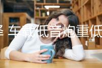 壹澤 車載低音炮重低音改裝大功率10寸有源汽車超薄座椅音響專用