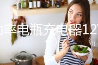 大功率電瓶充電器12V24V汽車貨車伏轎車工程車大電瓶專用充電機器