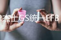 天津杰士GS統一EFB S95R電池適配豐田十四代皇冠原裝啟停汽車電瓶