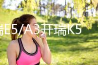 奇瑞E5/A3開瑞K50/K60優優雅艾瑞澤3/QQ6原裝60AH汽車電瓶蓄電池