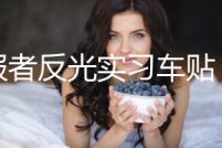 征服者反光實習車貼 新手車貼女司機女新手 磁性車貼膠貼個性貼紙