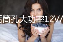 帶話筒孔大功率12V/220V車車載藍(lán)牙低音炮功放板汽車音響功放板