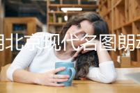 適用北京現代名圖朗動瑞納伊蘭特雅紳特汽車同軸喇叭前后改裝音響