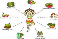 適用于本田奧德賽扶手箱混動艾力紳中央手扶箱儲物盒內(nèi)飾改裝配件