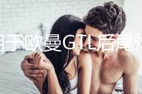 適用于歐曼GTL后尾燈總成福田戴姆勒配件EST貨車后尾燈剎車轉向燈