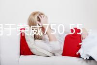 適用于榮威750 550RX3 5 i6名爵6 GS ZS回水壺總成膨脹箱付水壺