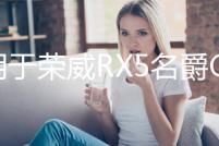 適用于榮威RX5名爵GS銳騰 暖風電機 空調翻板 風門 翻板 蒸發箱