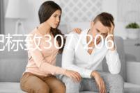 適配標致307/206/408/雪鐵龍C4L世嘉原裝電瓶駱駝60AH汽車蓄電池