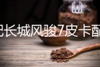 適配長城風駿7皮卡配件新款汽車后尾燈總成組合燈倒車燈剎車燈泡