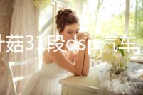 金針菇31段dsp汽車功放機4聲道四路車載無損音響大功率音頻處理器