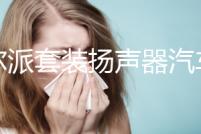 阿爾派套裝揚聲器汽車音響改裝同軸喇叭車載重低音炮無損DSP功放