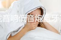 車載音響低音炮藍牙12V24V汽車改裝有源專用音箱梯形音響超重低音