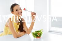 風(fēng)帆蓄電池12V55AH福特55-27嘉年華翼博馬自達(dá)2/3長(zhǎng)城C30汽車電瓶