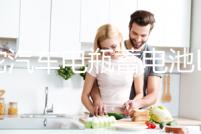 駱駝汽車電瓶蓄電池L2400適配大眾速騰朗逸邁騰寶來12v60ah