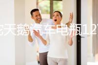 駱駝天鵝汽車電瓶12V60AH55D26R豐田皇冠銳志馬自達6哈弗H2H3H5H6