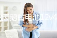 駱駝天鵝蓄電池12v45ah適配原裝五菱宏光金剛長安面包車汽車電瓶